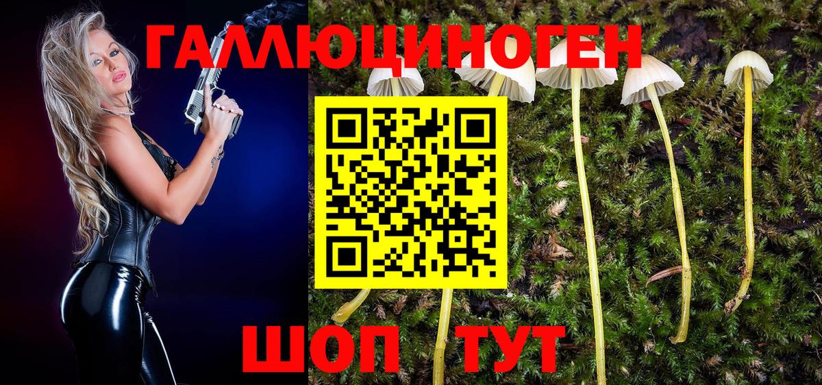 Галлюциногенные грибы MAGIC MUSHROOMS  купить наркотик  Псилоцибиновые грибы ЛСД  Елец  Вход с VPN 